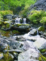 Национальный парк "Алханай". Водопады на реке Салия. Фото И.В.Кушнарева