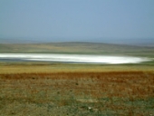 Агинская степь. Соляное озеро. Фото О.В.Корсуна