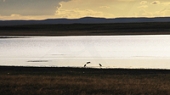 Озеро Ножий. Фото М.Ю. Федосеева