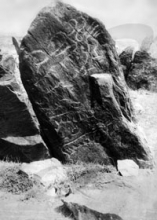 Оленный камень, найденный у с. Чиндалей. 1972 г. 