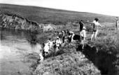 Раскопки на неолитическом поселении Арын-Жалга. 1967 г.
