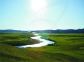 Река Аргунь. Фото Т.Е.Ткачук